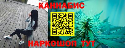 сатива Можга