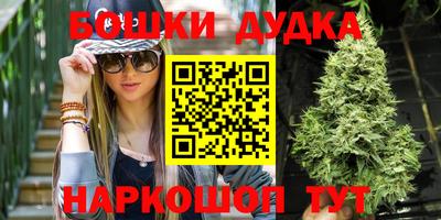 сатива Можга