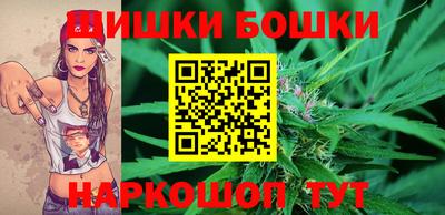 сатива Можга