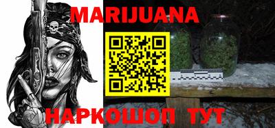 сатива Можга