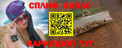 apvp Моздок