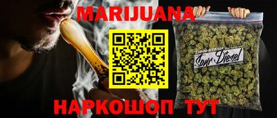 сатива Можга