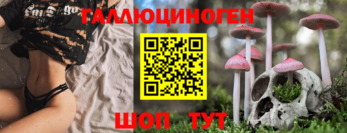 Псилоцибиновые грибы мухоморы Старая Купавна